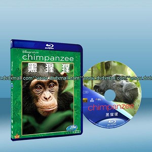 黑猩猩 Chimpanzee (2012) 藍光25G