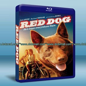 紅犬歷險記 Red Dog (2011) 藍光25G