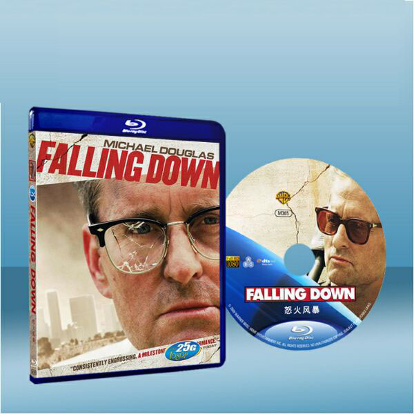 城市英雄 Falling Down