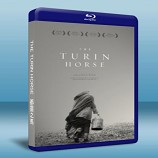 都靈之馬 The Turin Horse (2011)