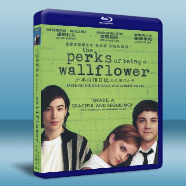 壁花少年/少年自讀日記/壁花男孩 The Perks of Being a Wallflower