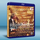 2013維也納新年音樂會 New Year's Concert 2013 Franz Welser-Most & Vienna Philharmonic