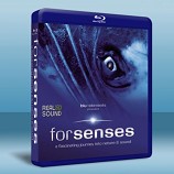 索尼音樂頂級藍光試機碟 forsenses