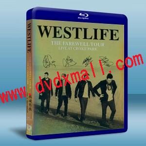 estlife The Farewell Tour Live at Croke Park 西域男孩告別之旅克羅克公園演唱會 2012 