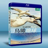 BBC：鳥瞰地球 Earthflight 2碟