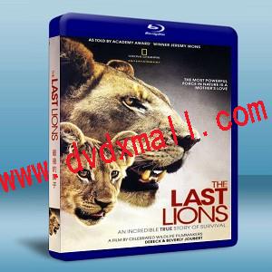 最後的獅子The Last Lions 