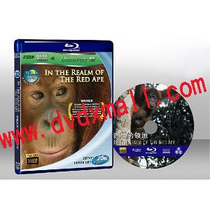 狂野亞洲：赤猿的領地 Wild Asia 1 In the Realm of the Red Ape