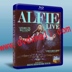 艾飛·鮑伊倫敦皇家節日音樂廳現場音樂會2012 Alfie Boe live from the Royal Festival Hall london