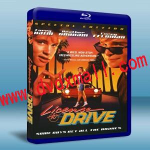 駕駛執照 License to Drive