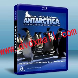 IMAX 南極企鵝 /南極洲 Antarctica