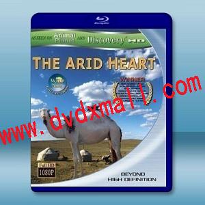 乾旱貧瘠的中心地帶 The Arid Hear