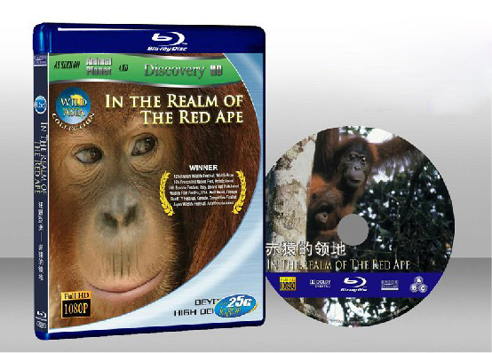 狂野亞洲：赤猿的領地 Wild Asia 1 In the Realm of the Red Ape