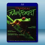 IMAX-熱帶雨林 Tropical Rainforest 