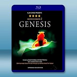 微觀世界2/小宇宙2基因狂想曲 Genesis 