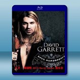 大衛•葛瑞特 2012 David Garrett 音樂會