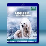 BBC 北極熊冰上間諜 Polar Bear Spy on the Ice