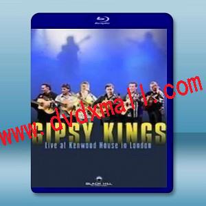 吉普賽國王樂團 倫敦現場演唱會   Gipsy Kings Live at Kenwood House in London - 藍光影片25G