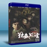 精武風雲·陳真 Legend of the Fist The Return of Chen Zhen -藍光影片25G