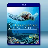 珊瑚礁的魅力：神秘的水底世界 (2碟) Fascination Coral Reef Mysterious Worlds Underwater  3D-藍光影片25G