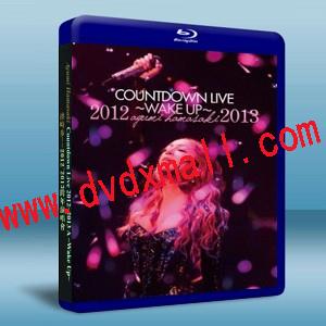 濱崎步 2012-2013跨年演唱會 ayumi hamasaki COUNTDOWN LIVE 2012～2013 A ～WAKE UP～-藍光影片25G