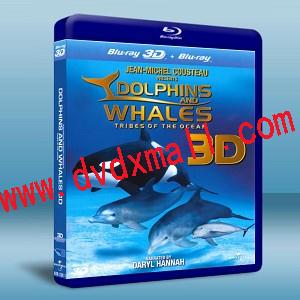 海豚和鯨魚3D:海洋部落 Dolphins & Whales Tribes of the Ocean 3D-藍光影片25G