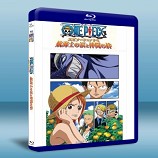 海賊王SP(外傳):航海士娜美的眼淚與夥伴的羈絆 ONE PIECE Episode Of Nami-藍光影片25G