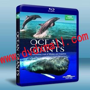 BBC:海洋巨人 /海洋巨物 BBC: Ocean Giants -藍光影片25G