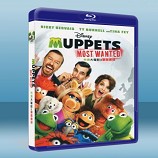 布偶歷險記：全面追緝 Muppets Most Wanted   -藍光影片25G