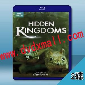 隱秘王國 Hidden Kingdoms (2碟)- 藍光影片25G