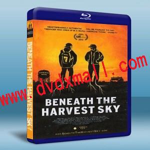 收獲天空之下 Beneath the Harvest Sky -藍光影片25G 