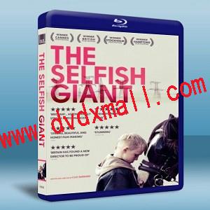 刺蝟少年 The Selfish Giant     -藍光影片25G