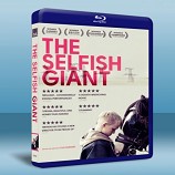 刺蝟少年 The Selfish Giant     -藍光影片25G