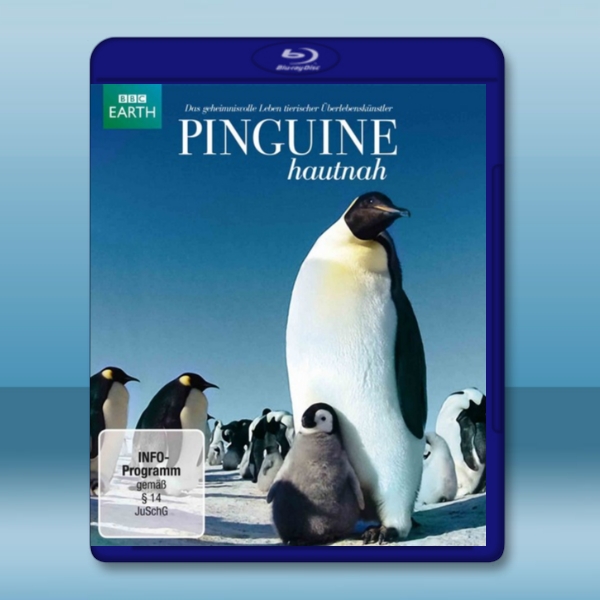 BBC 企鵝間諜 Pinguine hautnah    -藍光影片25G