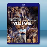 愛丁保羅夫爺爺的博物館奇妙夜 David Attenborough's Natural History Museum Alive     -藍光影片25G