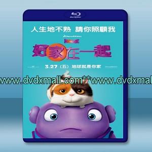 好家在一起 HOME (2015)-藍光影片25G