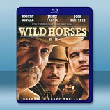 野馬 Wild Horses (2015)   -藍光影片25G