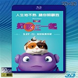 (3D+2D) 好家在一起 HOME (2015)-藍光影片50G