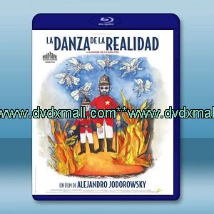 現實之舞 La danza de la realidad (2013) -藍光影片25G