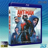 （3D+2D）蟻俠 /蟻人 Ant-Man (2015) -藍光影片50G