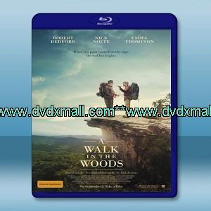 別跟山過不去 A Walk in the Woods (2015)   -藍光影片25G