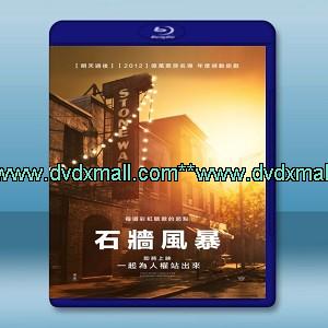 石墻事件/ 石墻風暴 Stonewall (2015) -藍光影片25G