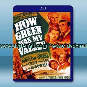 青山翠谷 /翡翠谷 How Green Was My Valley (1941)  -藍光影片25G