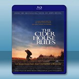 總有驕陽 /心塵往事 The Cider House Rules (1999) -藍光影片25G