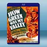 青山翠谷 /翡翠谷 How Green Was My Valley (1941)  -藍光影片25G