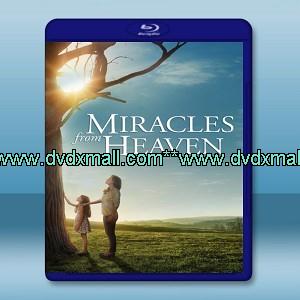 天堂奇跡 /來自天堂的奇跡 Miracles From Heaven (2016) - 藍光影片25G