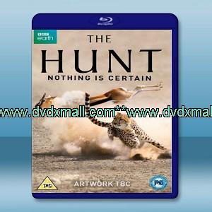 獵捕 The Hunt (3碟)   - 藍光影片25G