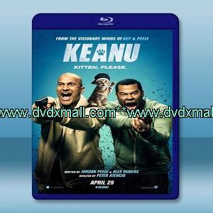 基努貓 Keanu (2016) - 藍光影片25G