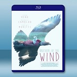 鷹之路 Brothers of the Wind (2015) - 藍光影片25G