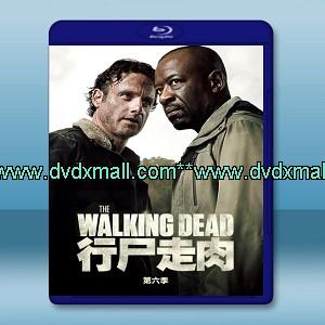 陰屍路 /行屍走肉 The Walking Dead  第6季 （5碟） - 藍光影片25G