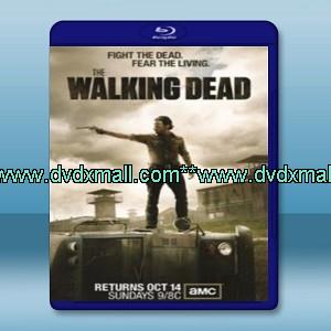 陰屍路 /行屍走肉 The Walking Dead  第5季 （4碟） - 藍光影片25G